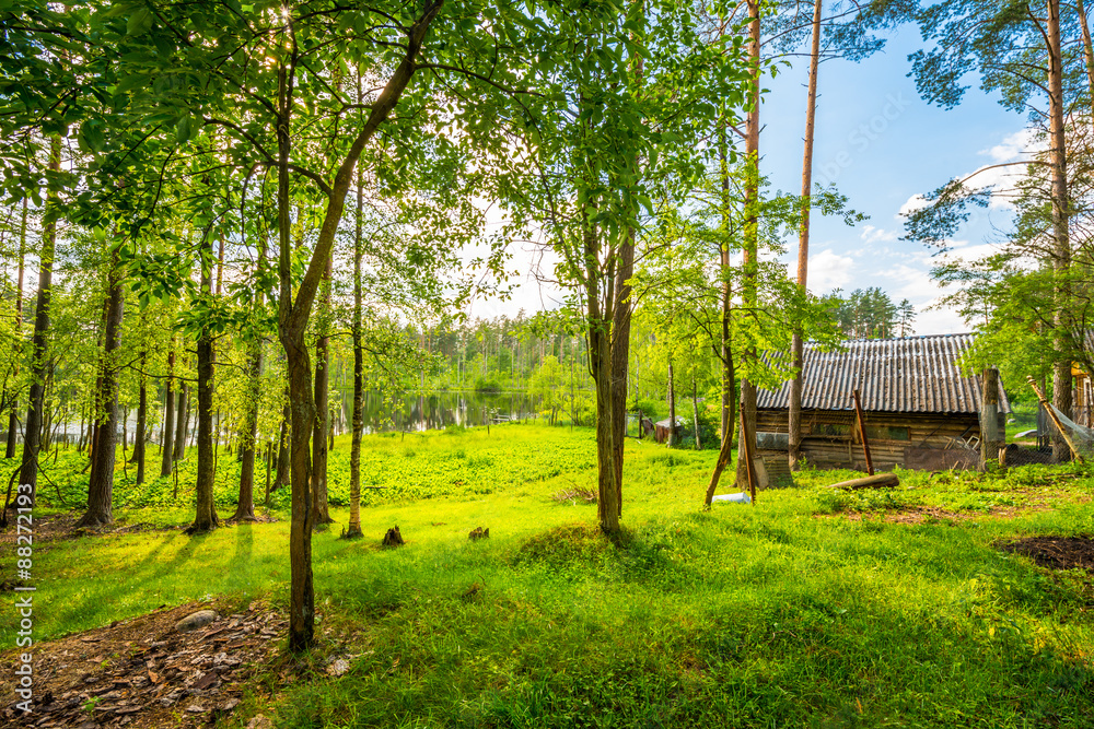 A log cabin on the shore of forest lake in the sun A log cabin on the shore of forest lake in the sun