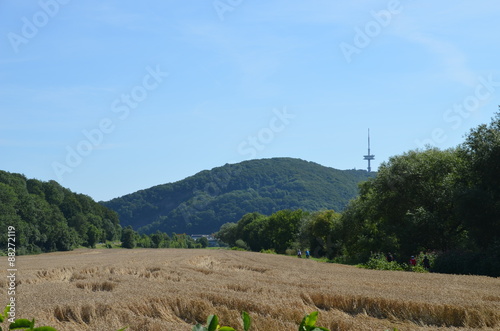 Kornfeld in Porta Westfalica photo