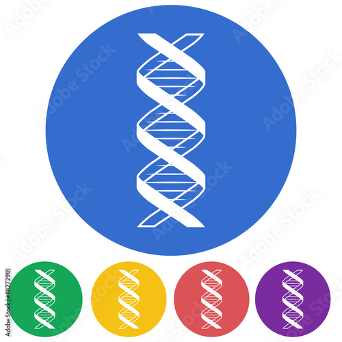 Vector illustration of color DNA icon on white background