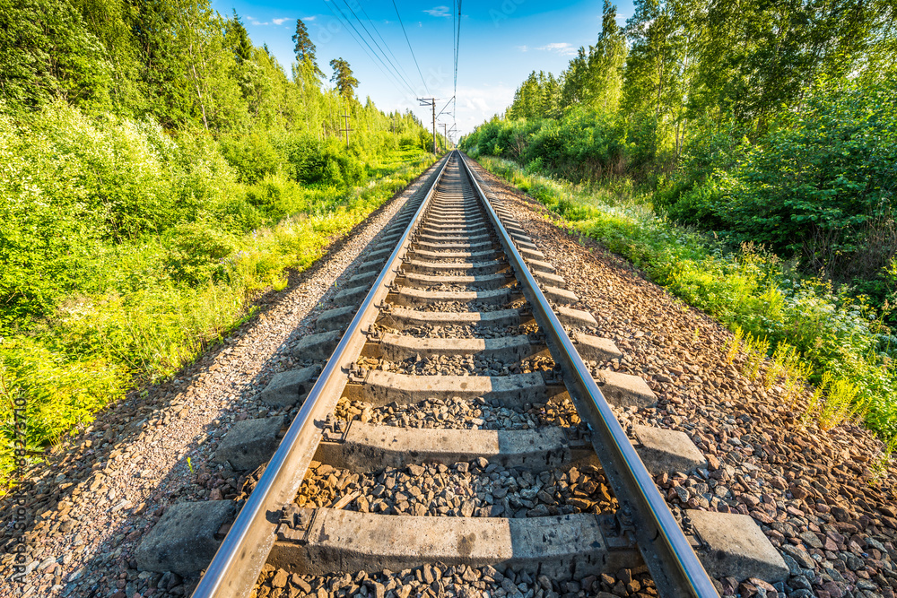 Fototapeta premium Railway receding into the distance, passing through the forest