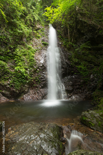 滝と新緑（東京檜原村払沢の滝）