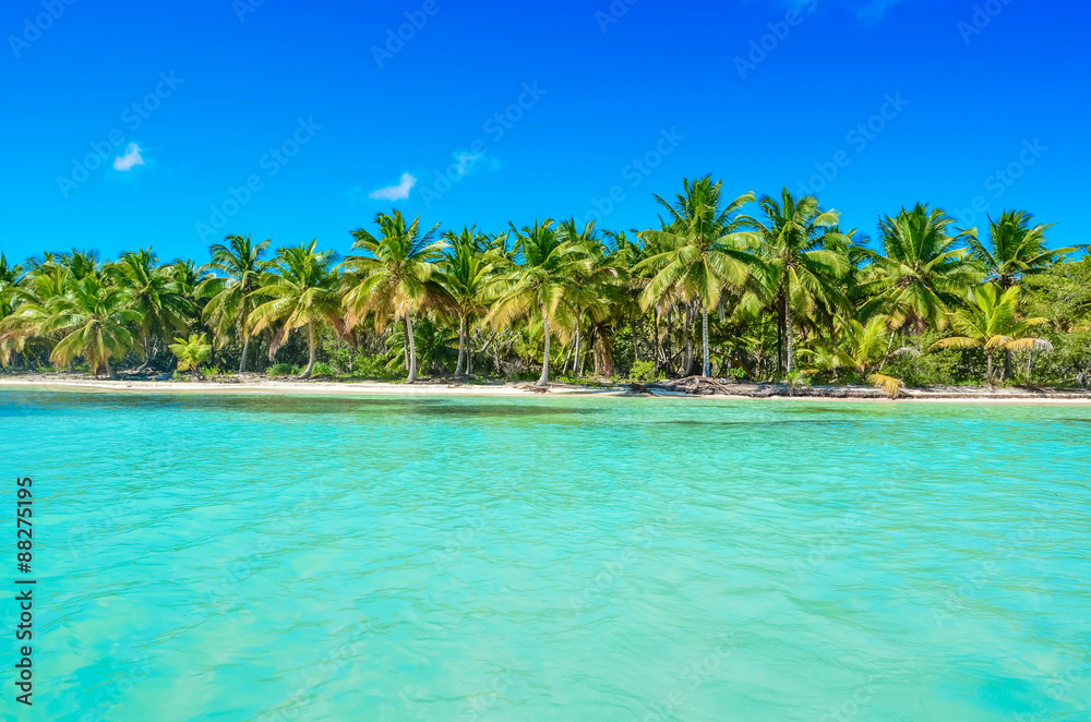 Uninhabited tropical island