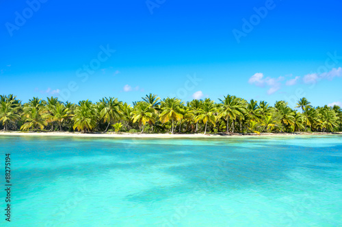 Virgin tropical island