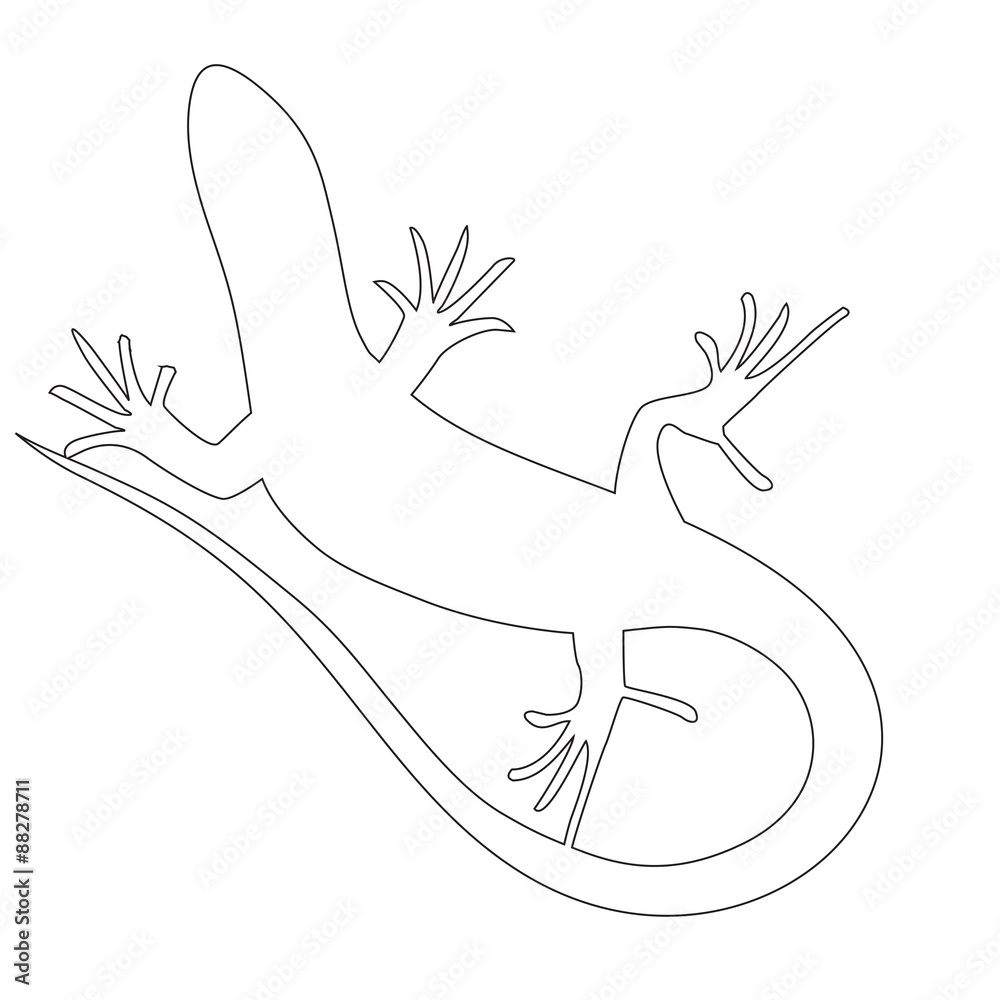 Naklejka premium Beautiful monochrome lizard, lizard silhouette. Vector illustra