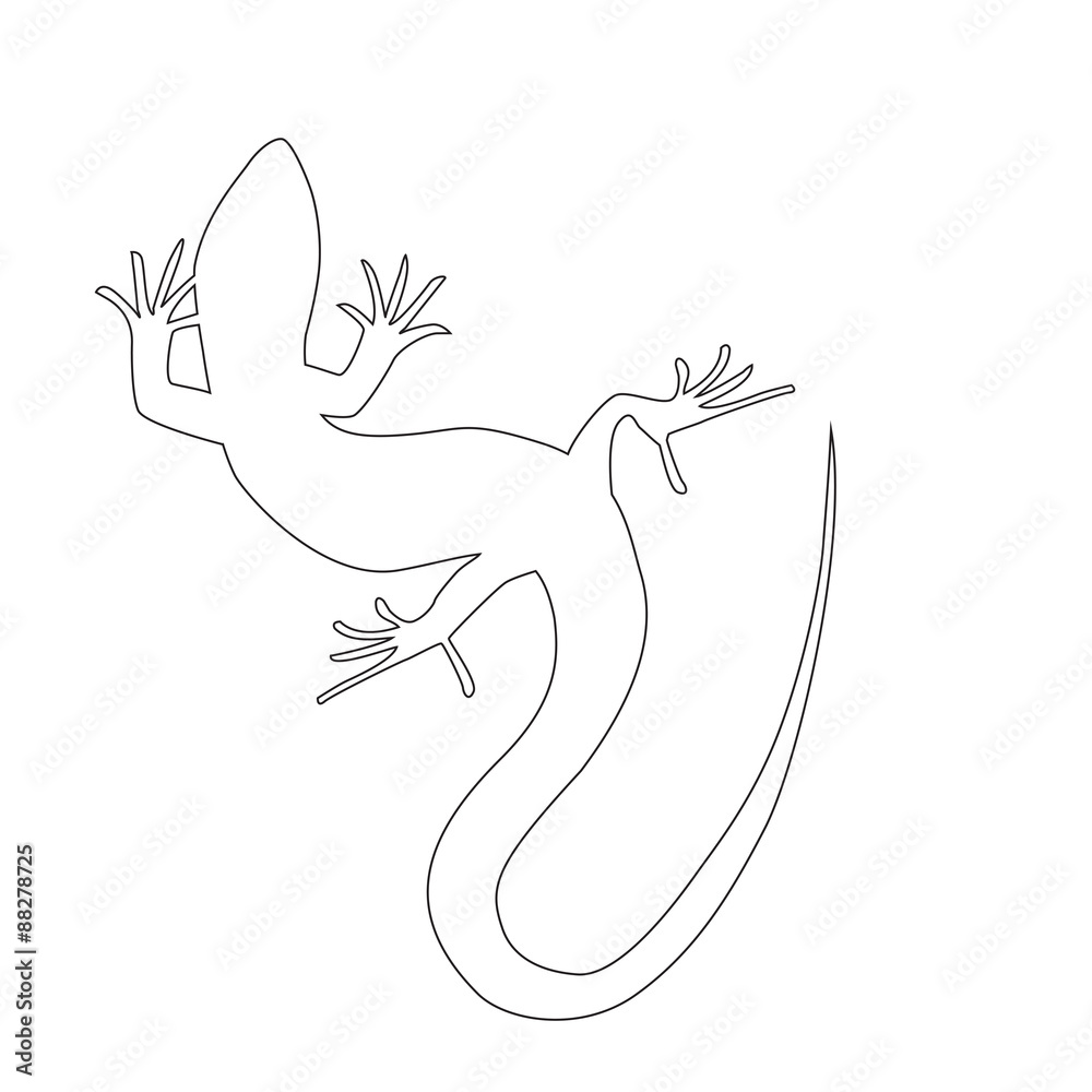 Fototapeta premium Beautiful monochrome lizard, lizard silhouette. Vector illustra