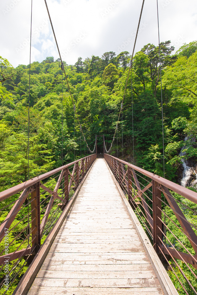 Obraz premium 檜原村三頭大滝の吊り橋