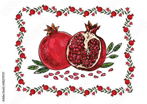 hand drawing pomegranates with frame