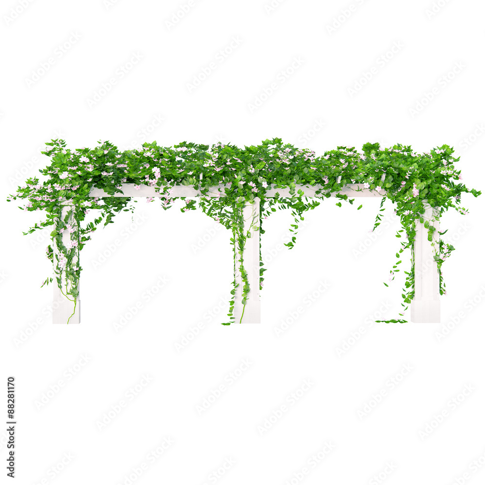 Obraz premium Angled wooden pergola