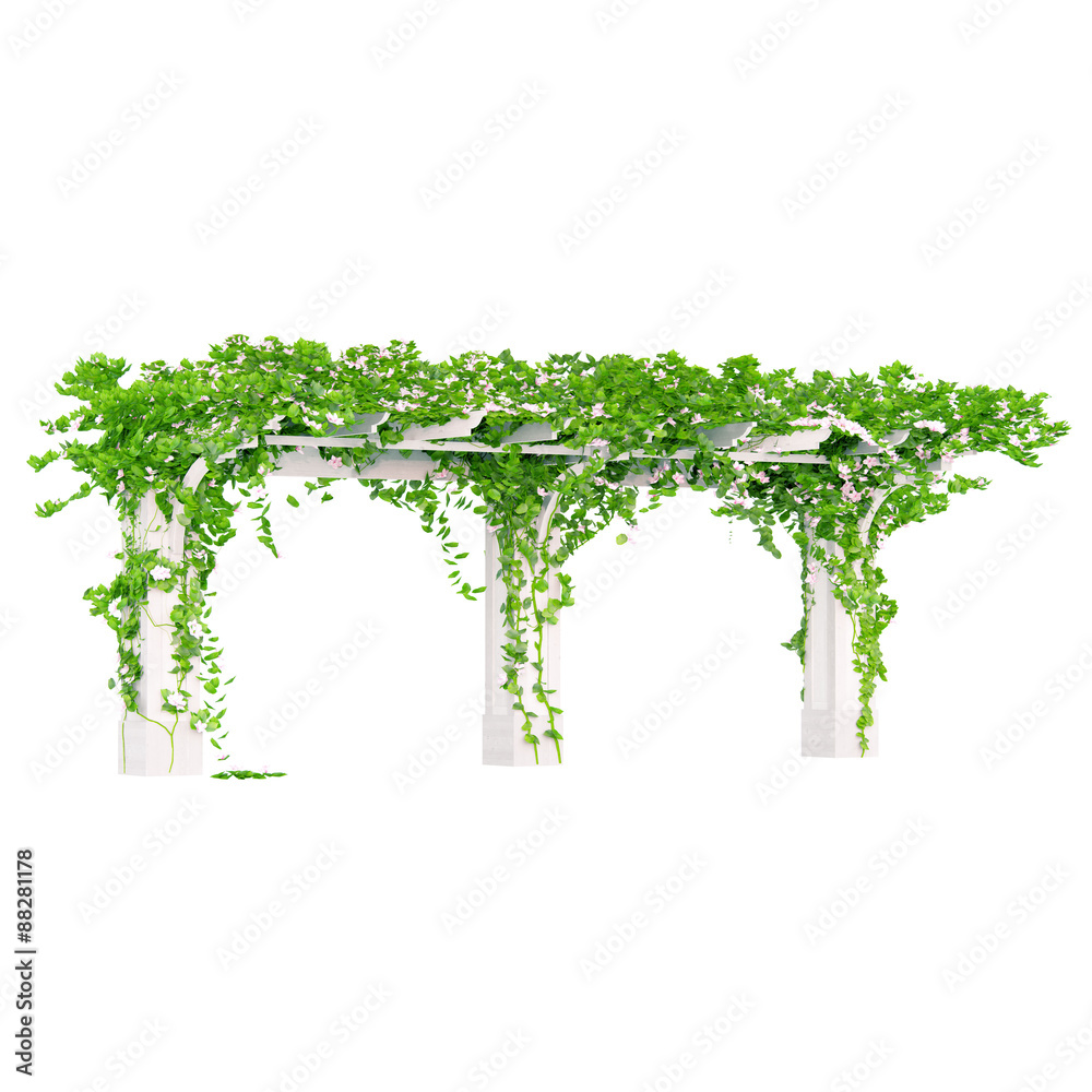 Obraz premium Angled gardening wooden construction with flowers pergola