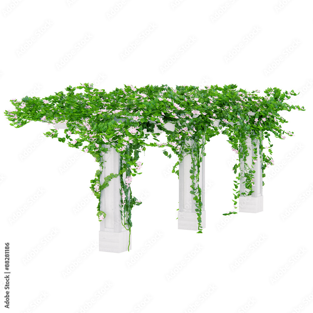 Fototapeta premium Angled pergola back view