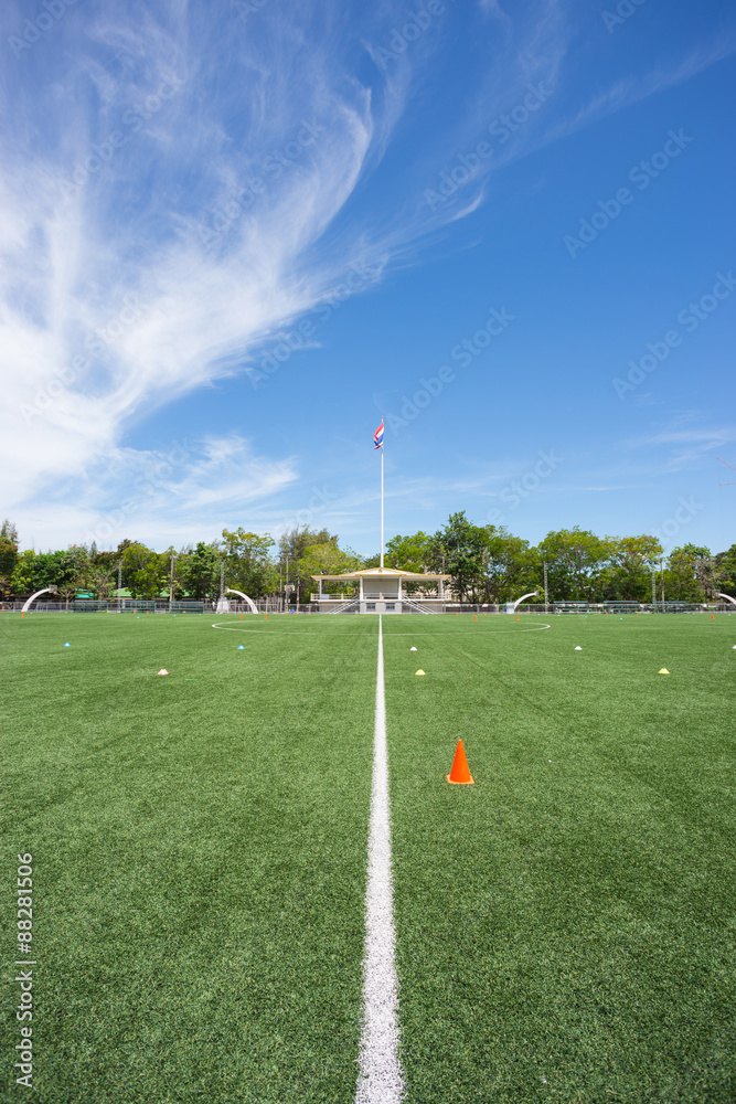 Obraz premium football stadium