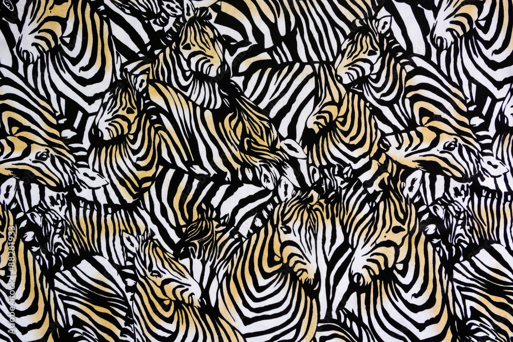 Texture fabric of Many zebra herd for background Texture fabric of Many zebra herd for background