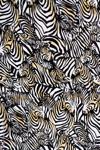 Texture fabric of Many zebra herd for background