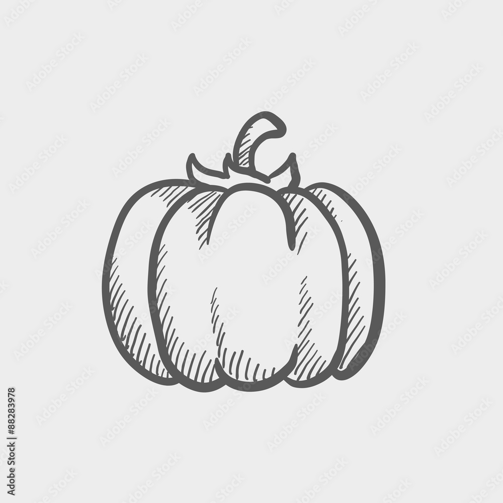 Squash sketch icon Squash sketch icon