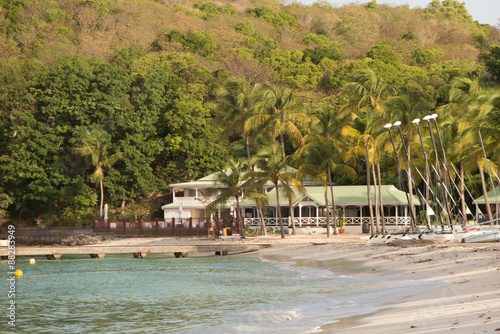 Fototapeta Naklejka Na Ścianę i Meble -  Caribbean beach surrounded with palm trees and beautiful ocean