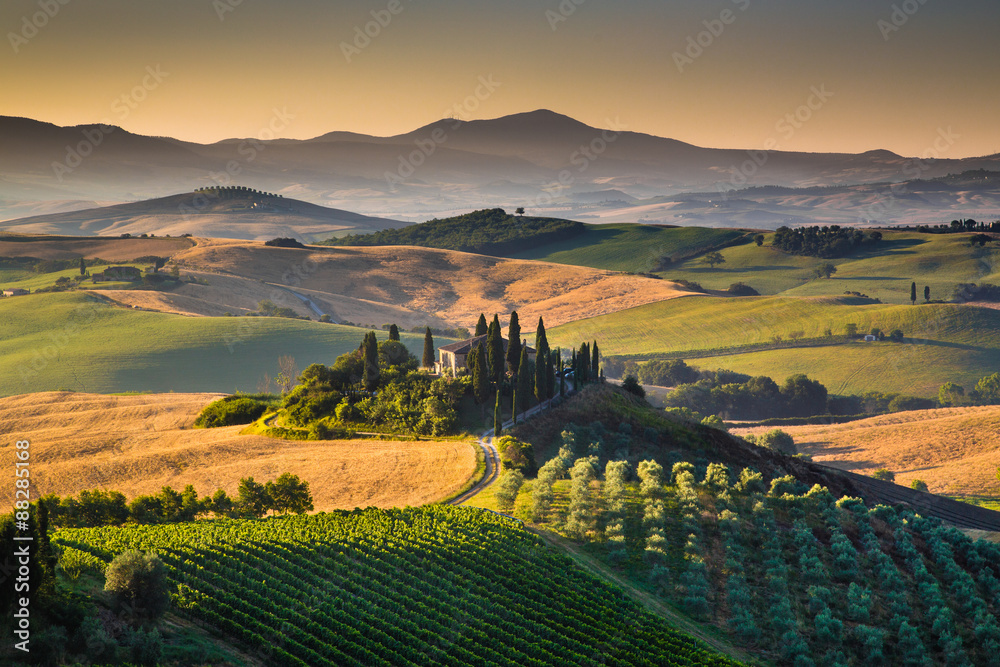 Fototapeta premium Sceniczny Tuscany krajobraz przy wschodem słońca, Val d'Orcia, Włochy