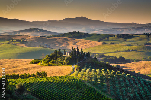 Scenic Tuscany landscape at sunrise  Val d Orcia  Italy