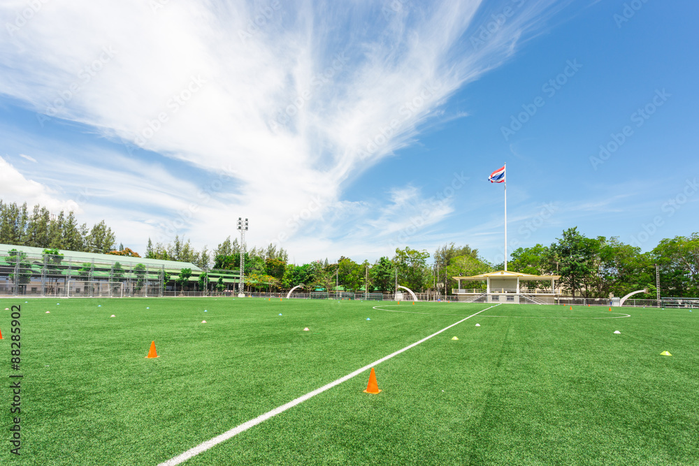 Fototapeta premium football stadium