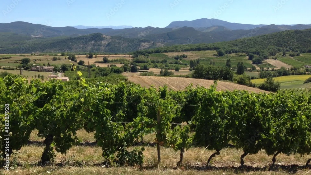vignoble en drôme,paysage,campagnard,vue sur le Vercors vignoble en drôme,paysage,campagnard,vue sur le Vercors