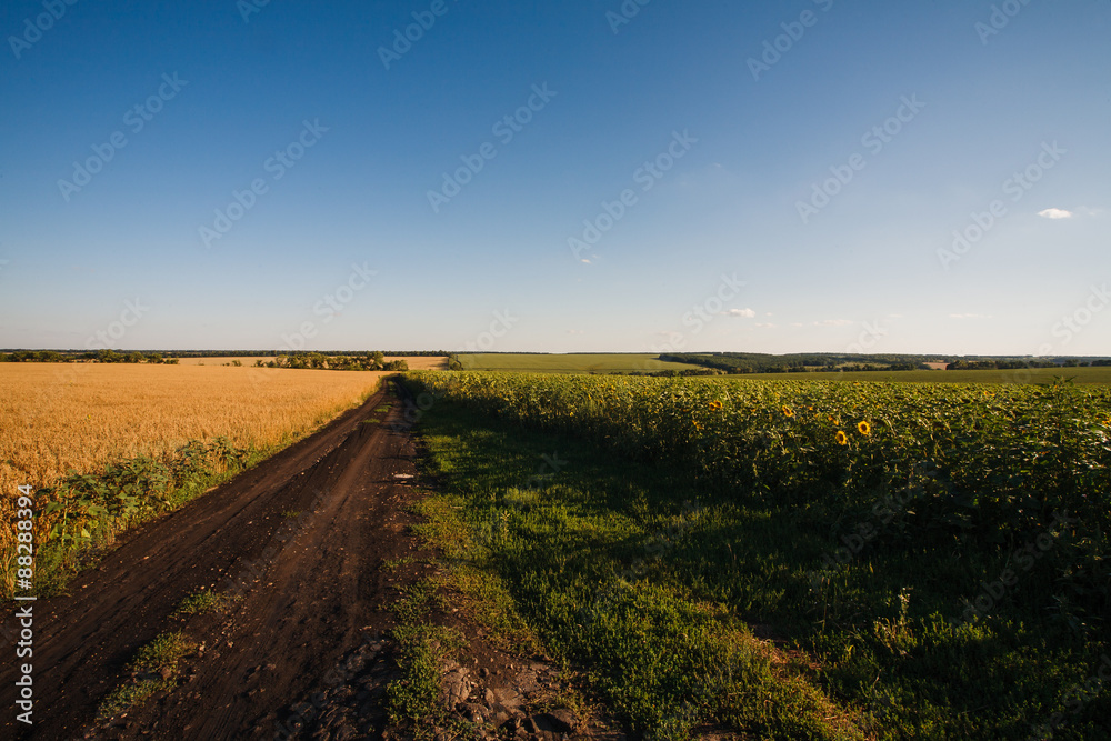 Naklejka premium scenery