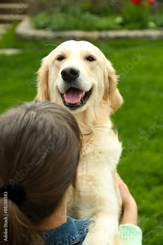 Adorable Labrador with girl on green grass, outdoors