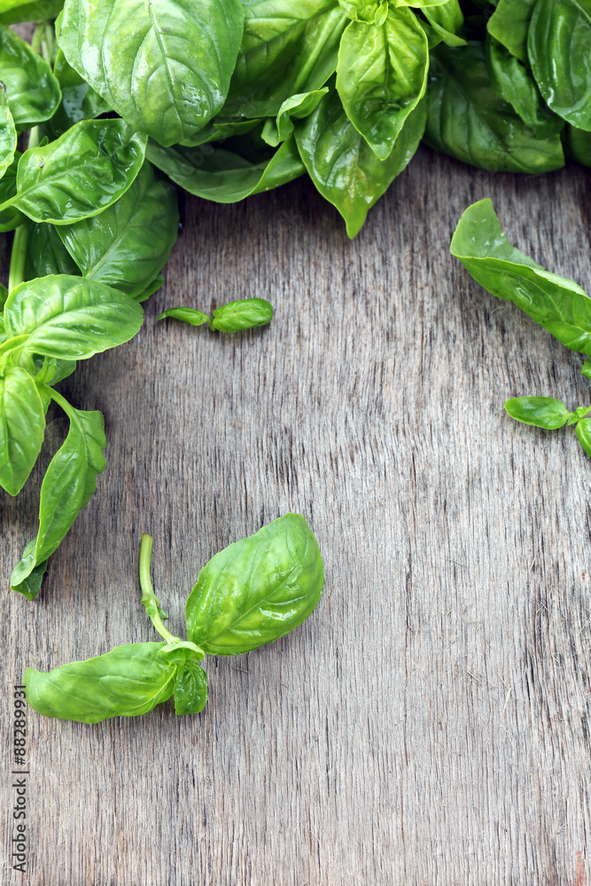 Green fresh basil on wooden background Green fresh basil on wooden background