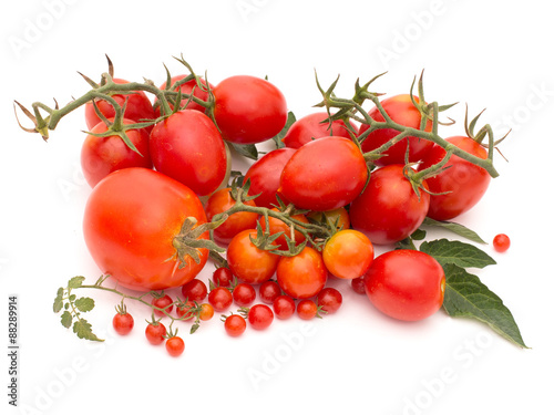 Fotografie Imperfect fresh organic tomatoes, assorted varieties, straight from the garden