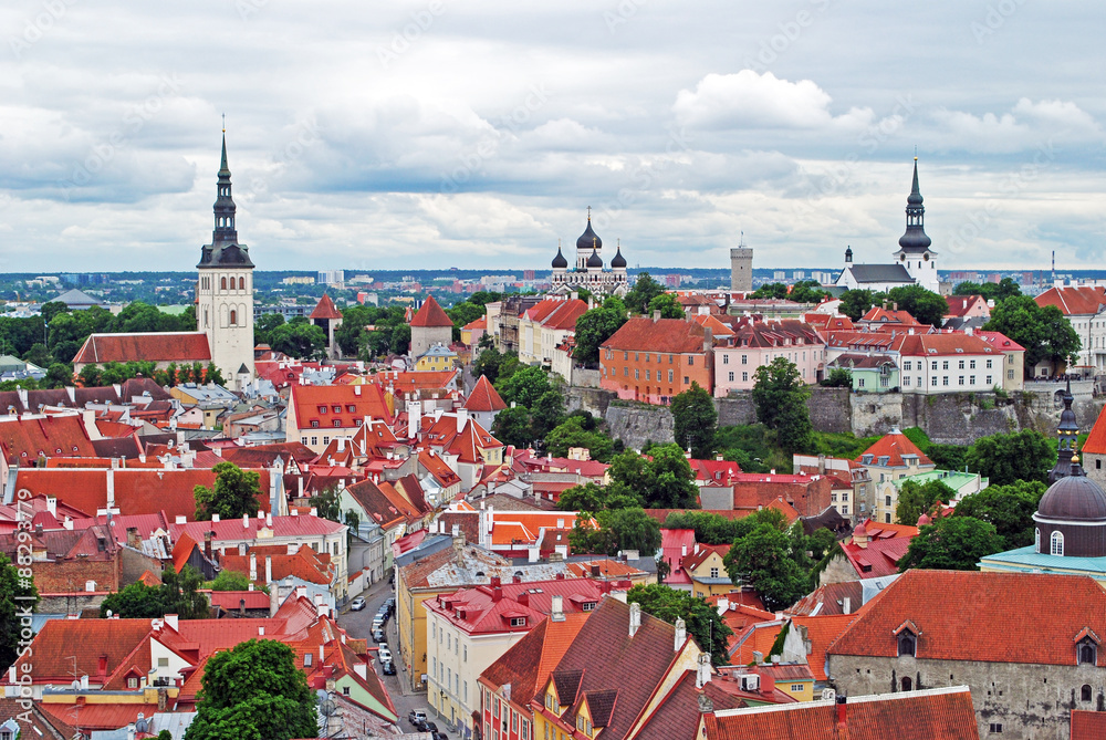 Tallinn old town panorama