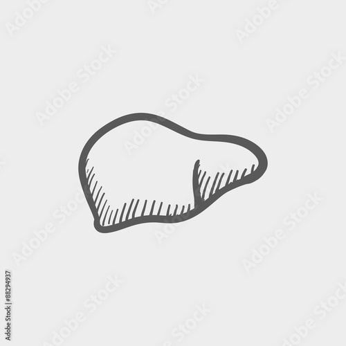Human liver sketch icon