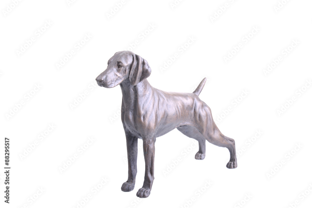 Weimaraner