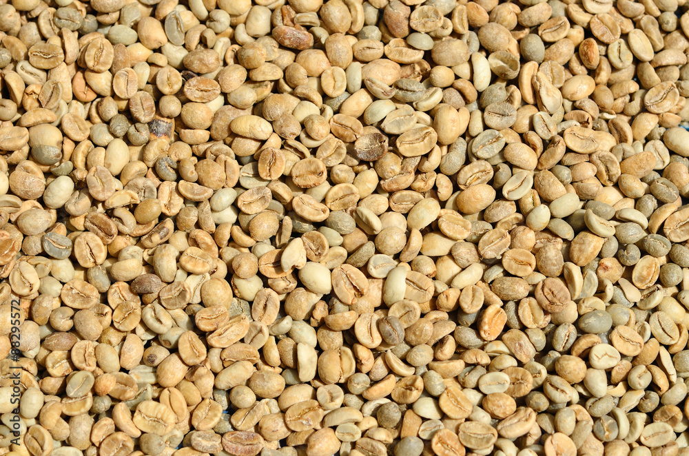 Fresh coffee beans in the hands Fresh coffee beans in the hands