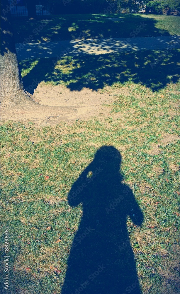 Shadow of woman taking picture of old tree Stock Photo | Adobe Stock