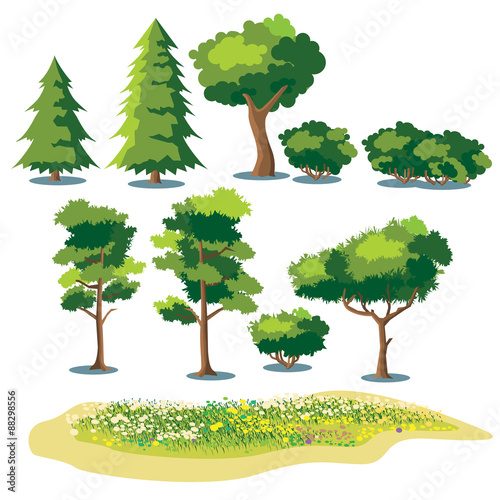 plants