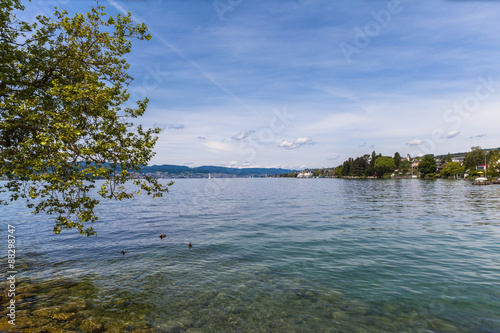 View of Zurich Lake