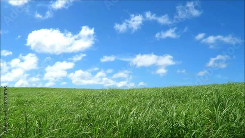 草原と青空と雲
