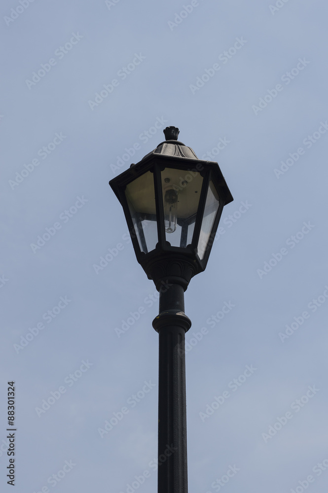 Lamp Post Portrait
