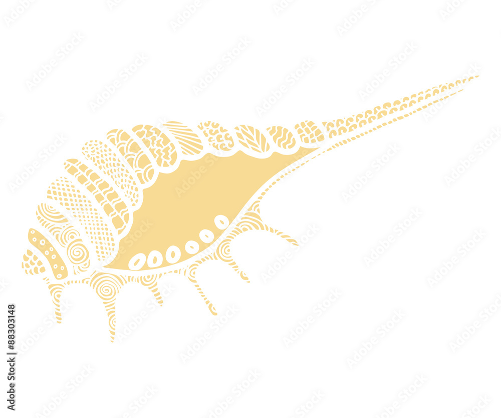 Obraz premium Doodles vector seashell