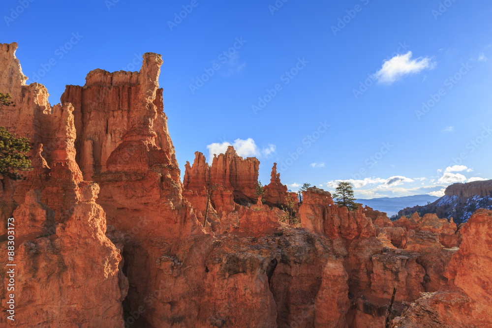 Hoodoos lit by early morning sun in winter, Peekaboo Loop Trail, Bryce Canyon National Park, Utah Hoodoos lit by early morning sun in winter, Peekaboo Loop Trail, Bryce Canyon National Park, Utah