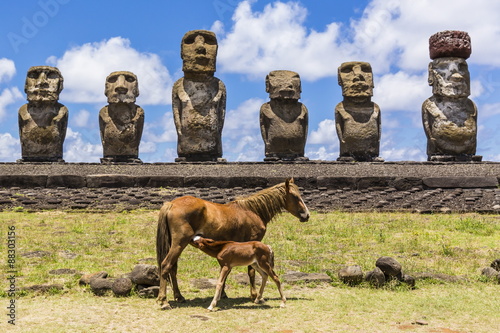 Mare nursing foal at the 15 moai restored ceremonial site of Ahu Tongariki on Easter Island (Isla de Pascua) (Rapa Nui), Chile