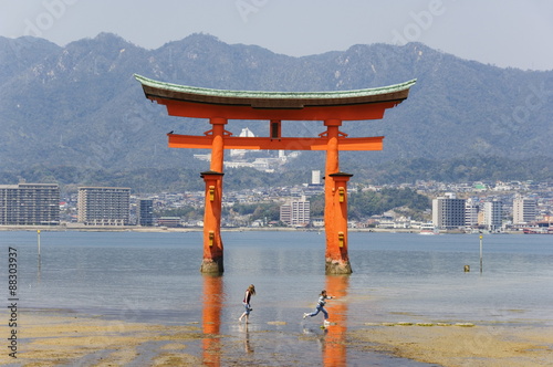 Floating torii gate, Itsukushima Jinja shrine, Miyajima island, Honshu Island, Japan #88303937