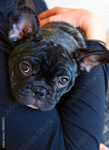 My Best Friend, Josie photo