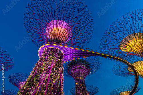The Supertree at Gardens by the Bay