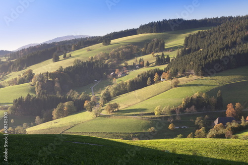 Glottertal Valley in autumn, Black Forest, Baden Wurttemberg, Germany photo