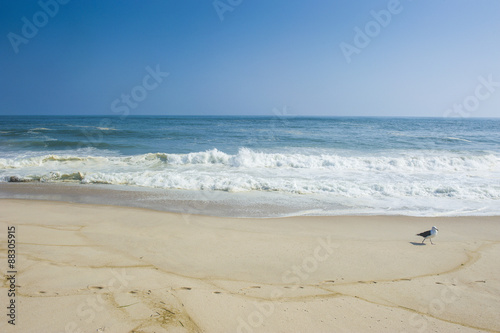 Long sandy beach in the Hamptons, Long Island, New York State photo