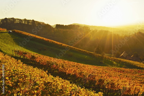 Vineyard landscape, Ortenau, Baden Wine Route, Baden-Wurttemberg, Germany  photo