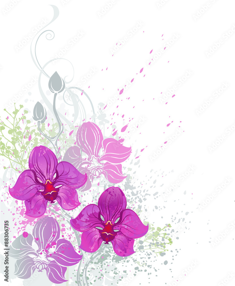 Fototapeta premium pink orchid