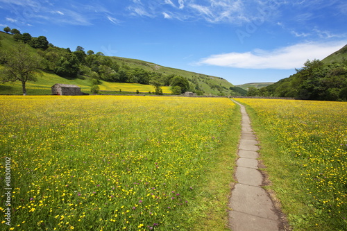 Paved footpath across buttercup meadows at Muker, Swaledale, Yorkshire Dales, Yorkshire photo