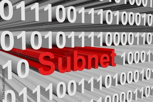 Fototapeta Naklejka Na Ścianę i Meble -  The subnet mask is represented as a binary code