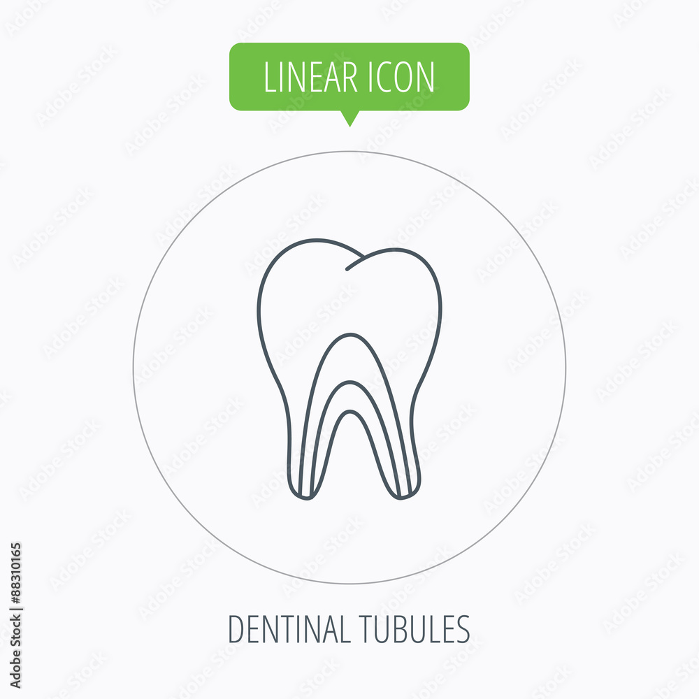 Dentinal tubules icon. Tooth medicine sign. Dentinal tubules icon. Tooth medicine sign.