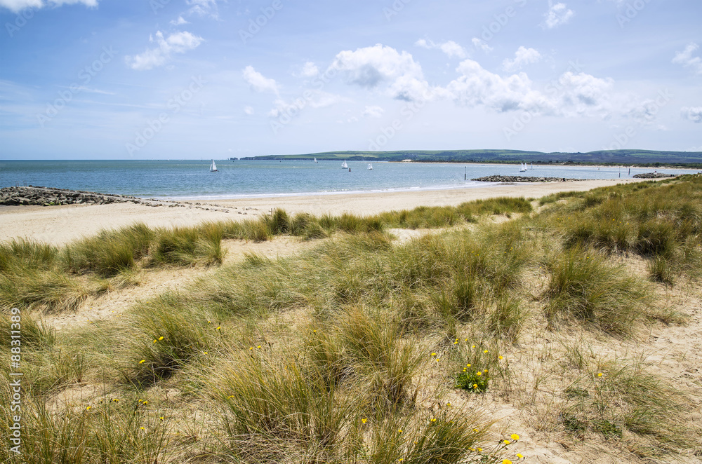 Lovely sand dunes and beach landscape on sunny Summer day